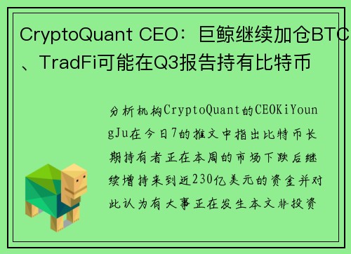 CryptoQuant CEO：巨鲸继续加仓BTC、TradFi可能在Q3报告持有比特币